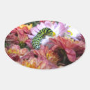 Search for caterpillar stickers Orange