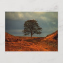 Search for gap postcards Tree