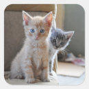 Search for be curious stickers Pets