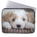 Search for baby animals electronics Dog