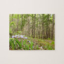 Search for smoky mountains puzzles Outdoors