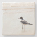 Search for limestone coasters Ocean