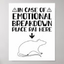 Search for rat posters Pets