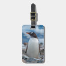Search for antarctic accessories Blue