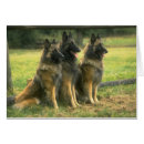 Search for pure breed Animal