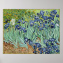 Search for iris painting posters Floral