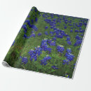 Search for texan wrapping paper Bluebonnet