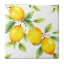 Search for citrus fruit coasters Nature