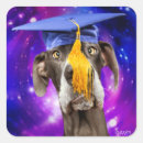 Search for funny graduation stickers Graduate