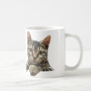 Search for grey tabby cat mugs Kitty