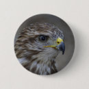 Search for bird hunting badges Bird of prey