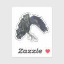 Search for white raven stickers Animal