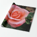 Search for botanical print wrapping paper Nature