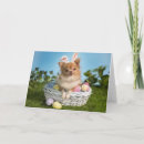 Search for chihuahua easter cards Happy