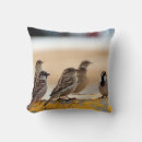 Search for flocking photography Wildlife