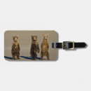 Search for environment luggage tags Habitat