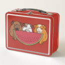 Search for guinea pig lunch boxes Rodent