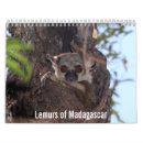 Search for lemur calendars Nature