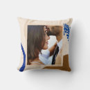 Search for blue and taupe cushions Modern