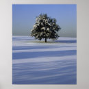 Search for snow covered trees posters Cold