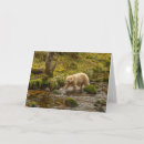 Search for black bear cards Woods