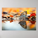 Search for peace butterflies posters Nature
