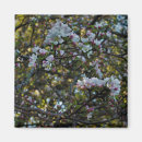 Search for apple square magnets Flowers