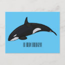 Search for killer postcards Orcinus orca