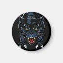 Search for big head magnets Cat