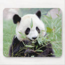 Search for panda mousepads Animals
