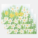 Search for daffodil wrapping paper Easter