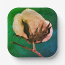 Search for cotton boll Southern