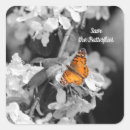 Search for apple blossom stickers Botanical