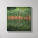 Search for reflections canvas prints Pond