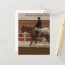 Search for horse postcards Equine