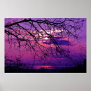 Search for intense posters Pink