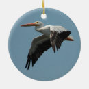 Search for pelican christmas tree decorations Wings