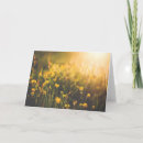 Search for buttercup cards Nature
