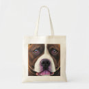 Search for pit accessories Pibble