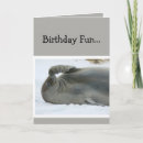 Search for seal birthday cards Humour