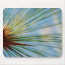 Search for rays mousepads Abstract