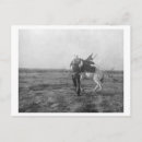 Search for broncos postcards Cowboy