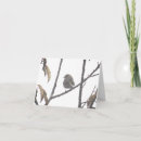 Search for bird note cards Autumn