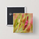 Search for beautiful abstract badges Colourful