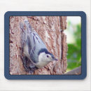 Search for backyard electronics Animal
