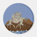 Search for iguanas magnets Marine iguana