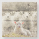 Search for sheep coasters Vintage