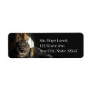 Search for green eyes return address labels Animals