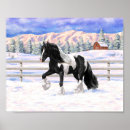 Search for draught art Gypsy vanner