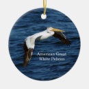 Search for pelican christmas tree decorations Bird